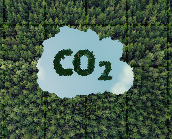 Using next generation satellite imagery to map Carbon Accounting Areas for ETS