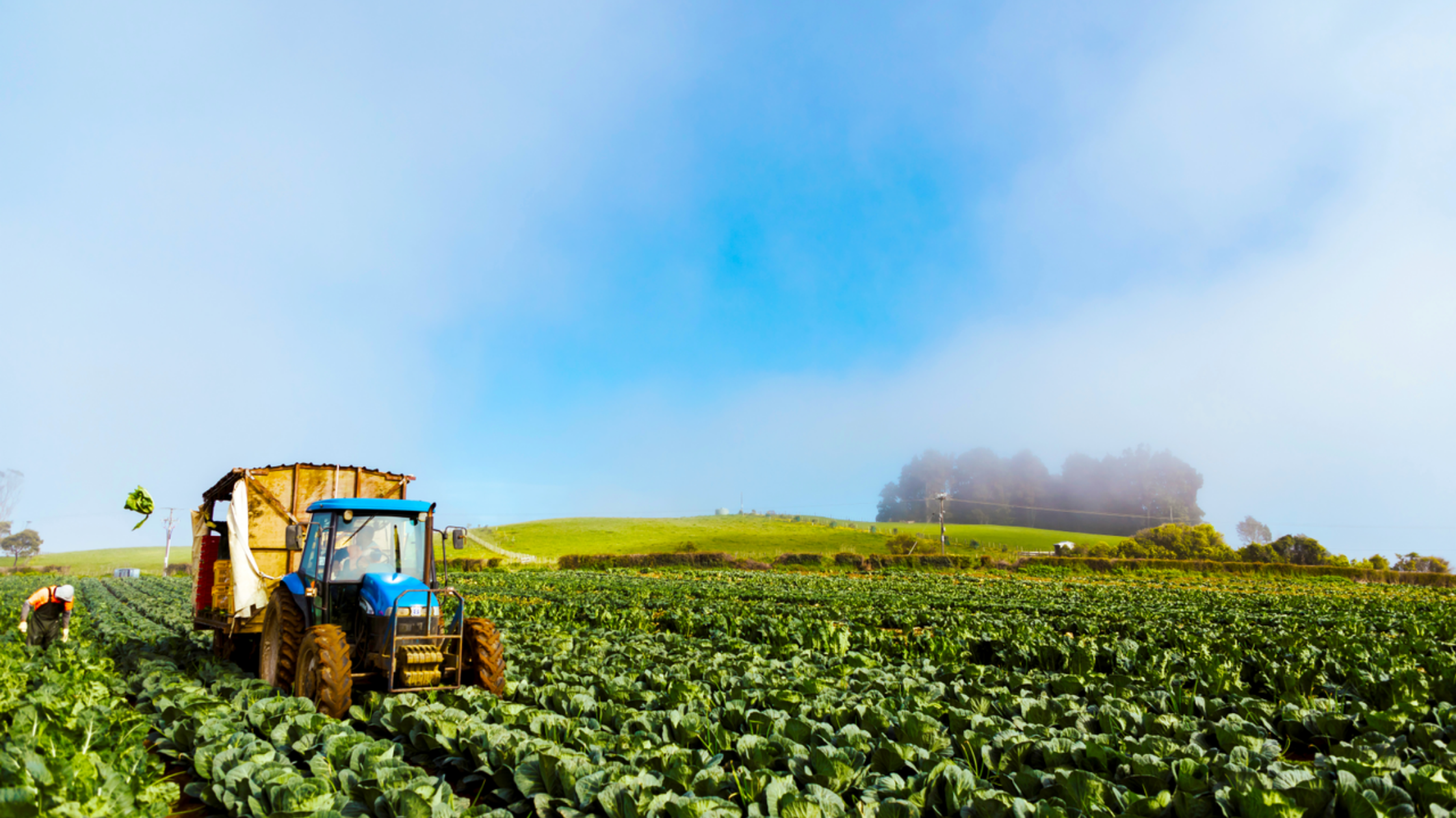 Is satellite imagery the missing link for farm plans?