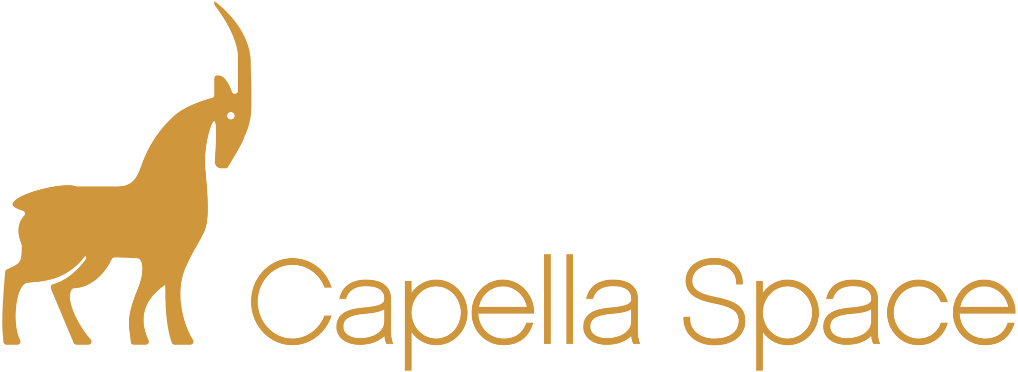 capella_sapce_horizontal_full_logo_coppper-1-2048x749 (1)